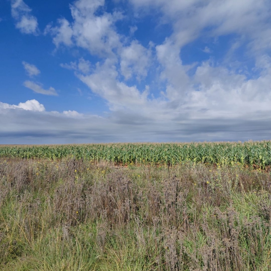 Commercial Property for Sale in Bainsvlei Free State